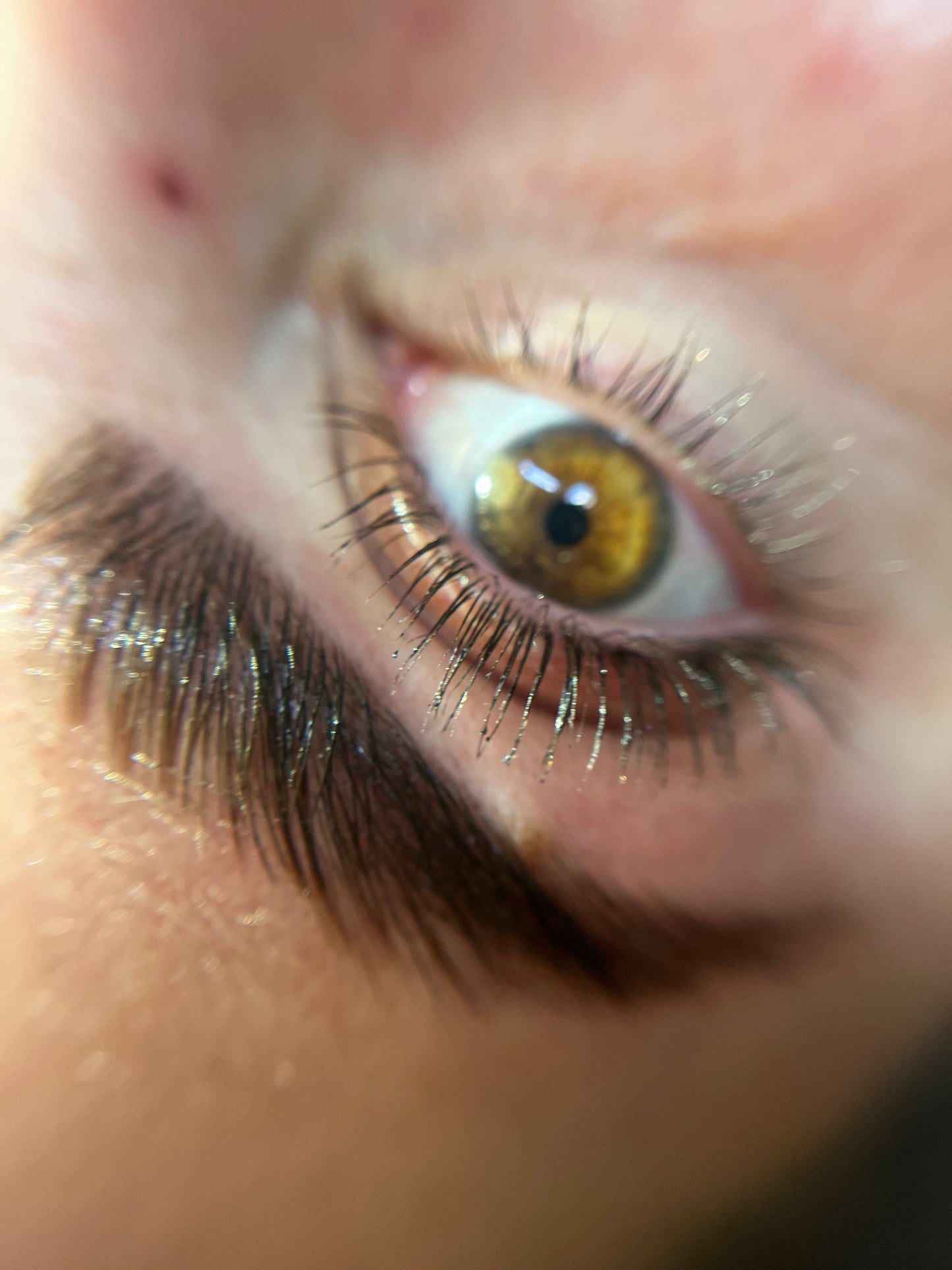 PACK CEJAS Y PESTAÑAS