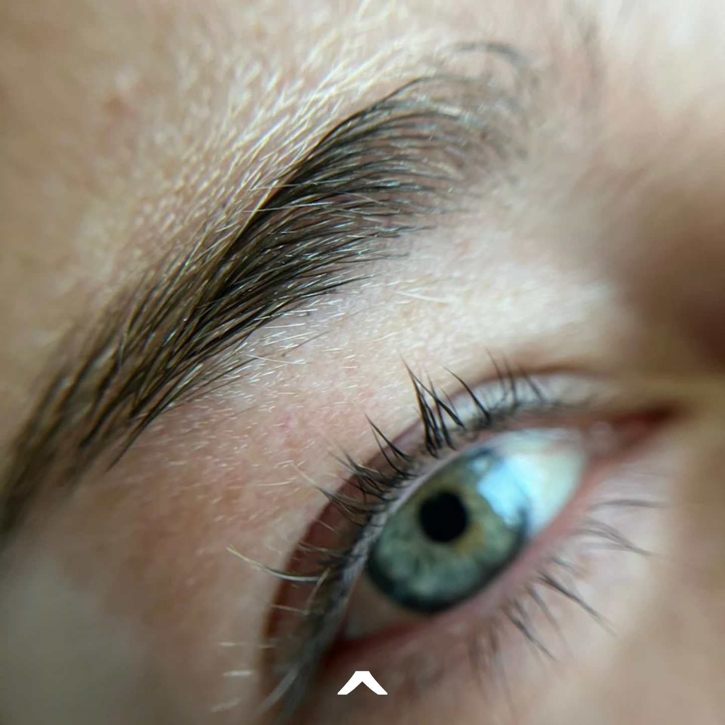 Curso de laminado de cejas y lifting de pestañas