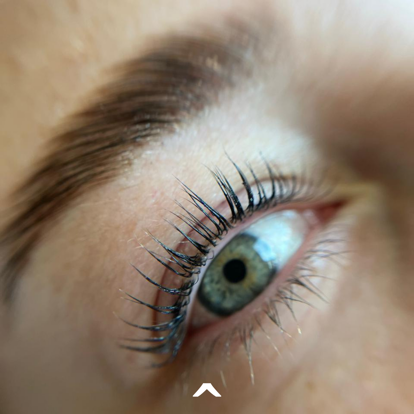 PERFILADO Y LAMINADO DE CEJAS